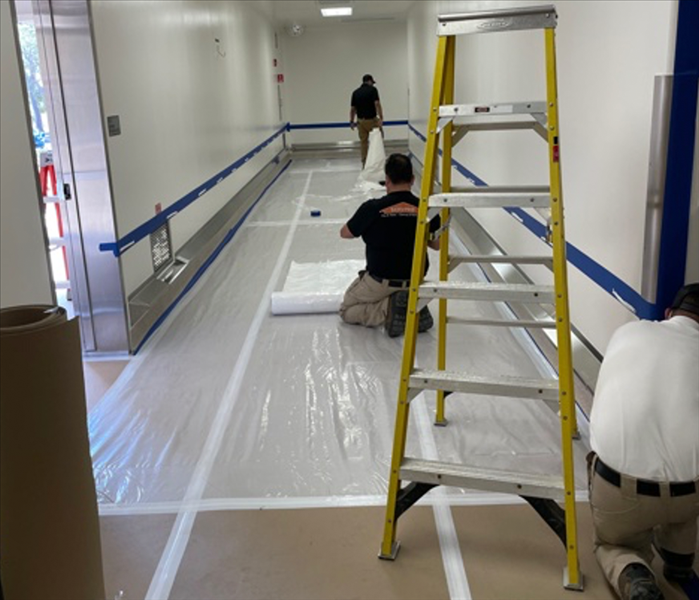 three employees and a ladder in a hallway preparing for a mold remediation project