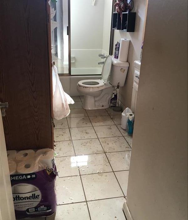 toilet overflow in apartment building